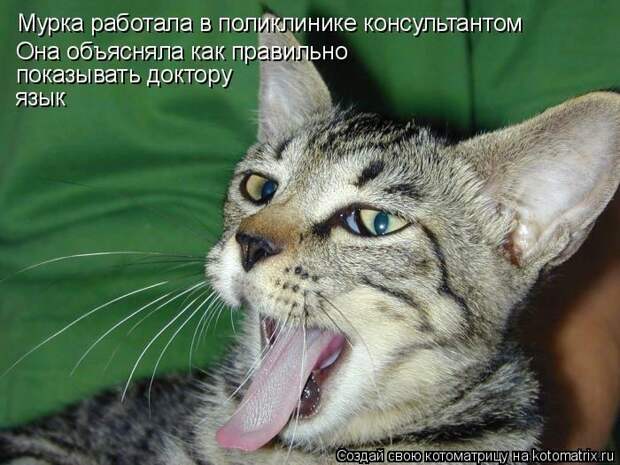 Котоматрицы :)