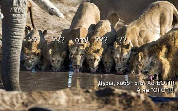 Мысли вслух :)