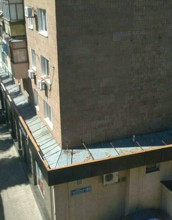 Окна выходят на южную сторону? Тогда зачем ехать на море? Окна выходят на южную сторону? Тогда зачем ехать на море? водоем, загар, курорт, наглость, плавки, пляж, прикол, юмор