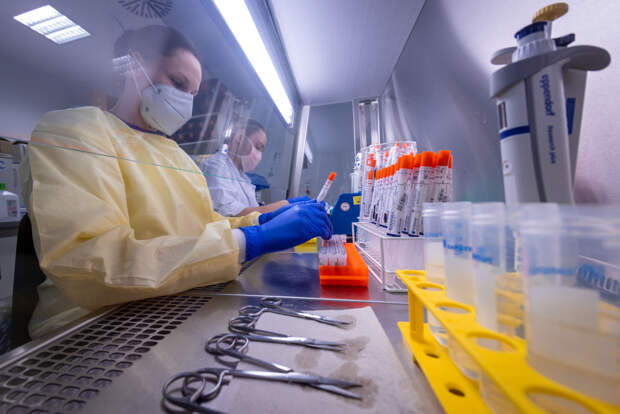 Во Владимирской области медики выявили еще 78 случаев коронавируса за сутки