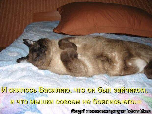 Мысли вслух :)