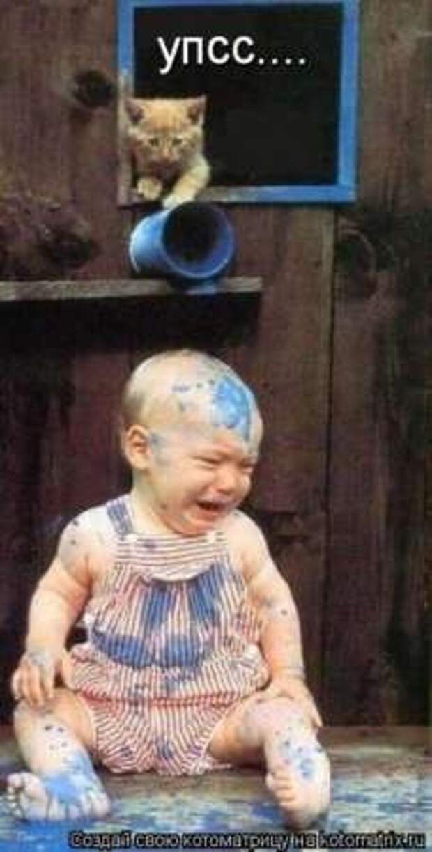 Прикольные животные, котоматрица