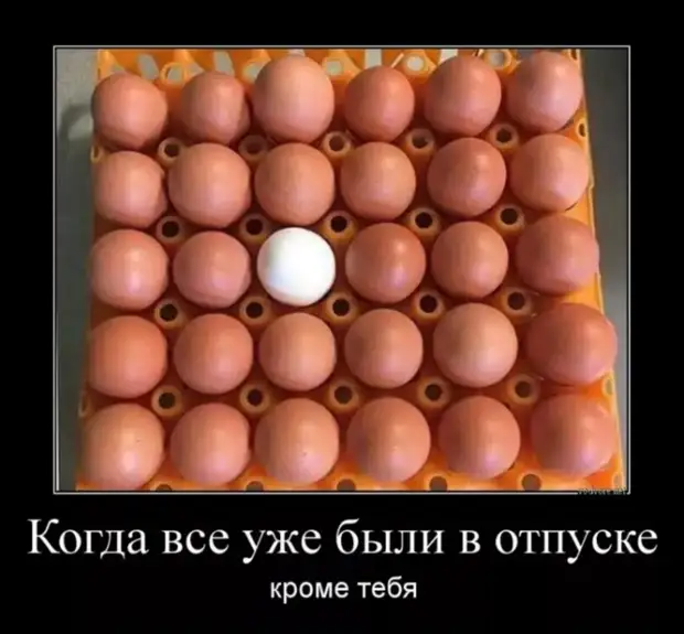    .      ,    ...