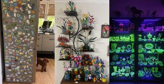 Что собирают люди: 22 фото самых необычных коллекций, от которых у вас отвиснет челюсть