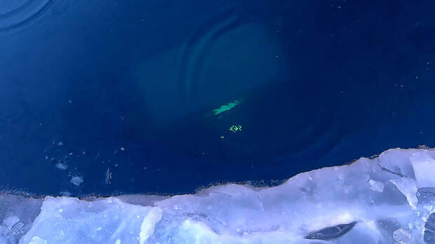 Со дна Байкала подняли тела восьми человек