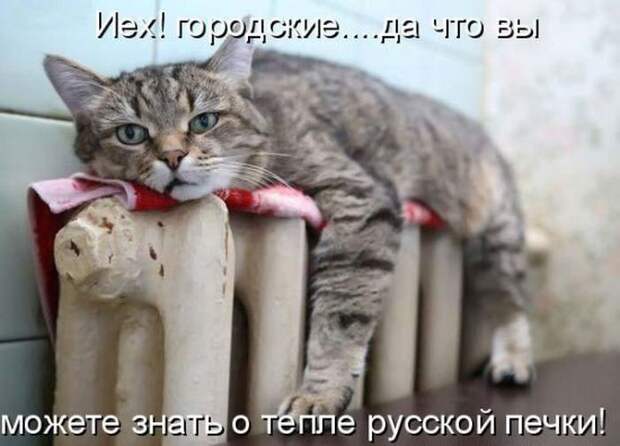 Мысли вслух :)
