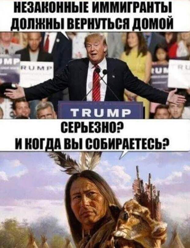 Задорные картинки о девушках, мотивации и котиках 