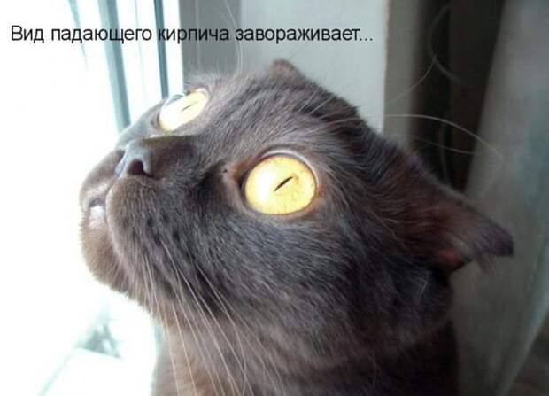 Мысли вслух :)