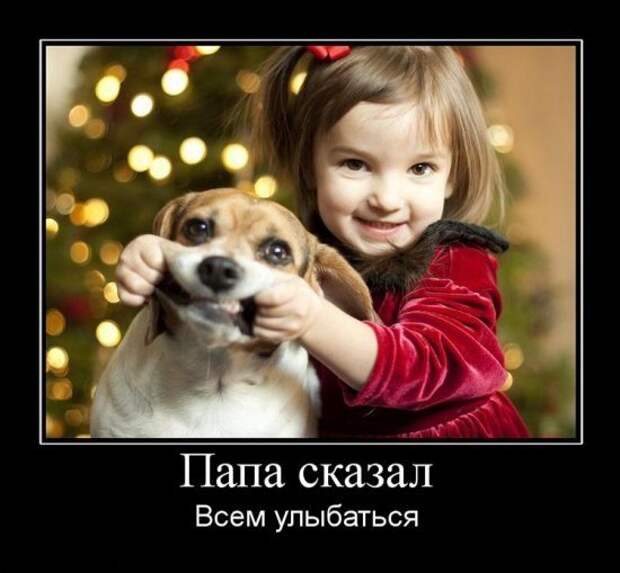 Весёлые новогодние картинки: праздник приближается!