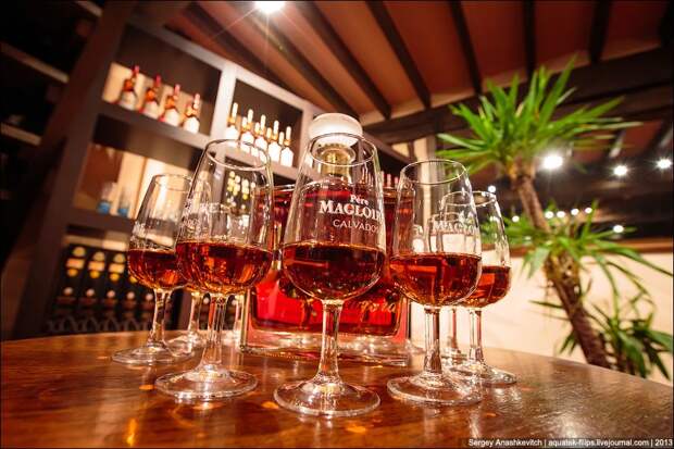 Как делают кальвадос в Нормандии calvados35 Как делают кальвадос в Нормандии