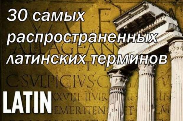 Объяснение 30 распространенных латинских терминов