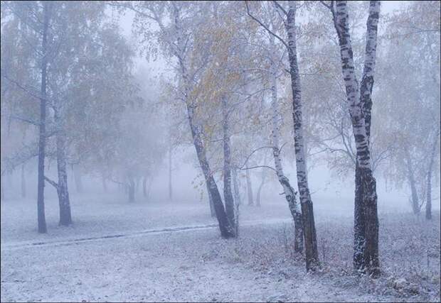 Красота Сибири (44 фото) Красота Сибири (44 фото)