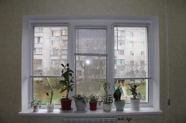 Жалюзи установлены