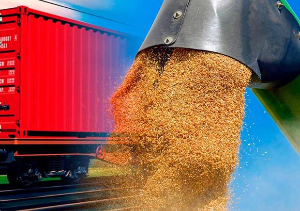 Зерно сыграет в ящик. Точнее, в контейнер. Станет ли перевозка урожая в контейнерах альтернативой хопперам