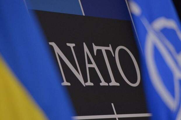 Проведение референдума о вступлении страны в НАТО — вещи малоэффективные — посол Украины