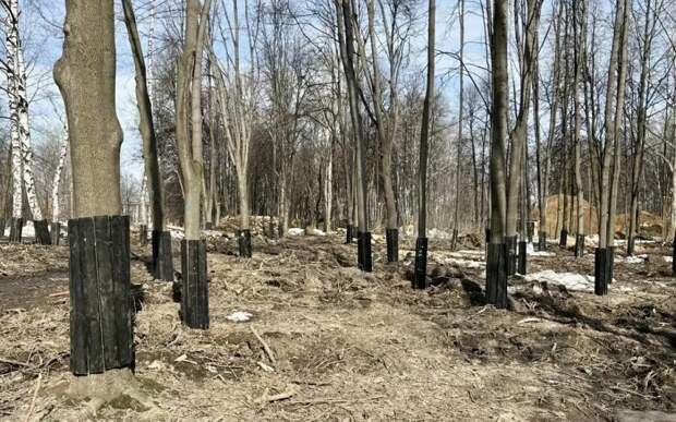 В мэрии рассказали о ходе благоустройства ЦПКиО