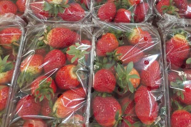 Врач назвала рацион для желающих замедлить старение