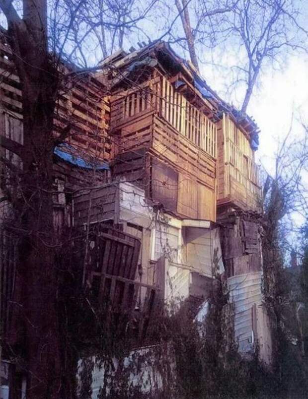 Самые прикольные картинки