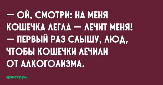 Десятка обалденных анекдотов, над которыми вы будете долго смеяться Десятка обалденных анекдотов, над которыми вы будете долго смеяться