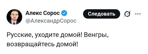 Сын Джорджа Сороса ведёт кампанию против русских в Венгрии