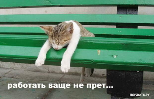 Картинки Прикольные :) (24)