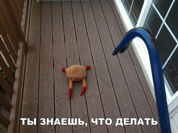 Подборка картинок (20 фото)