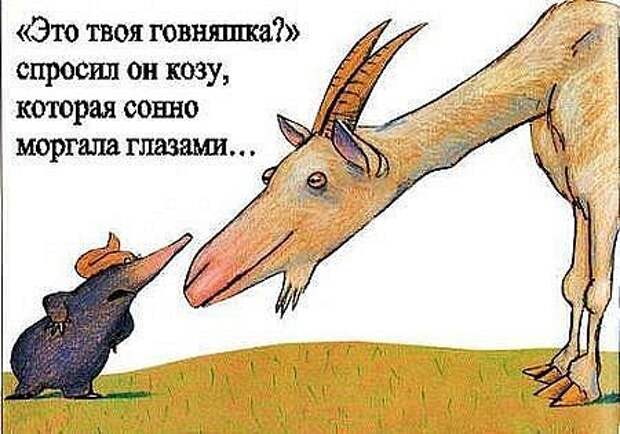 Неприятность с кротом