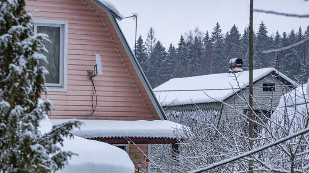 Под угрозой 10 тысяч СНТ: россиян с загородными участками призвали готовиться к массовой атаке мошенников