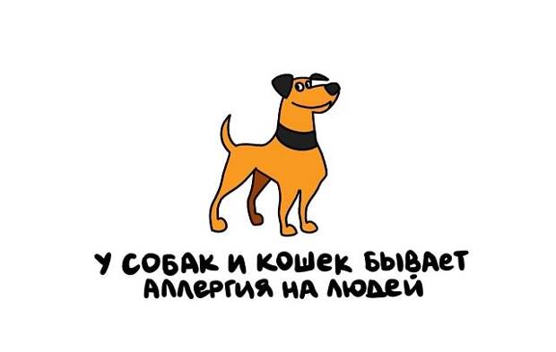 Короткие интересные факты на все случаи жизни