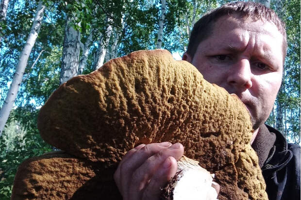 Омич нашел за городом гигантский 3-килограммовый гриб