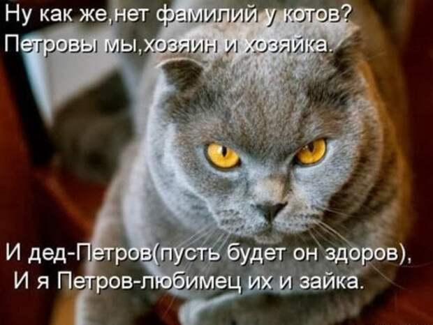 c1deaa62384117c9c32843d5c4f_prev