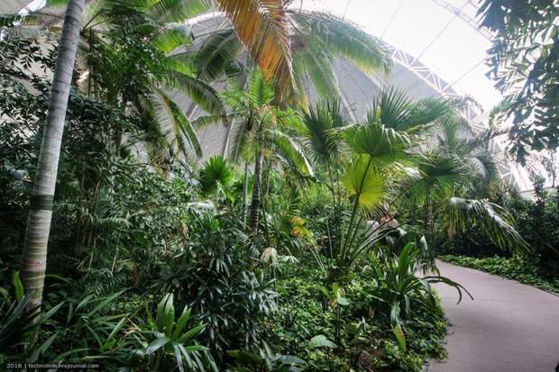 Tropical Islands - искусственный рай путешествия, факты, фото