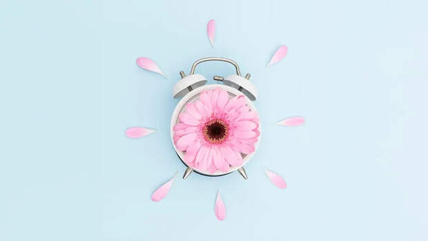 Как растения узнают, когда наступила пора цвести?