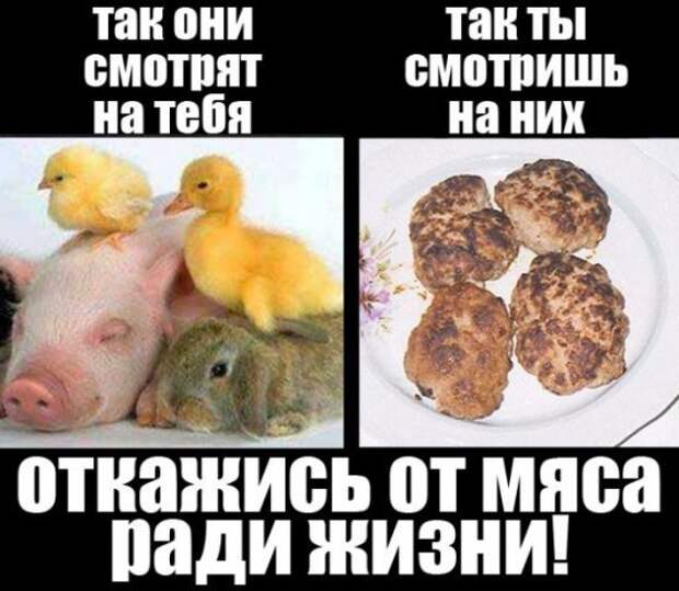 Картинка 3 из 17029