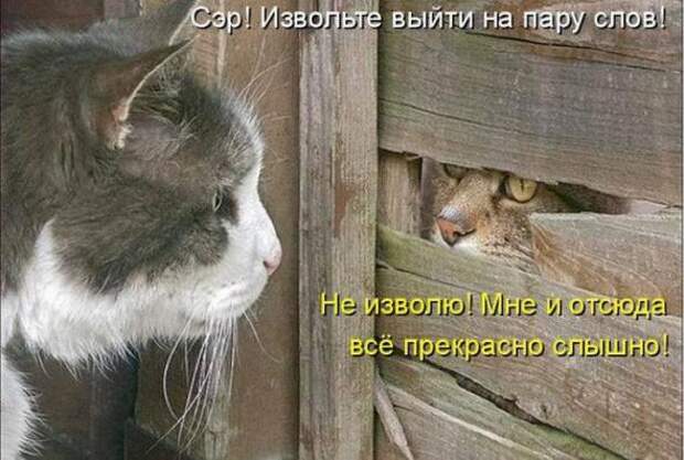 Продолжаем подготовку к Новому Году.