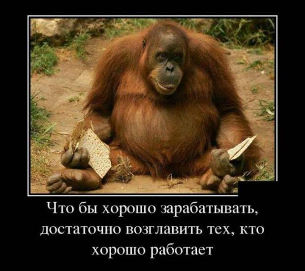 Подборка классных демотиваторов № 102
