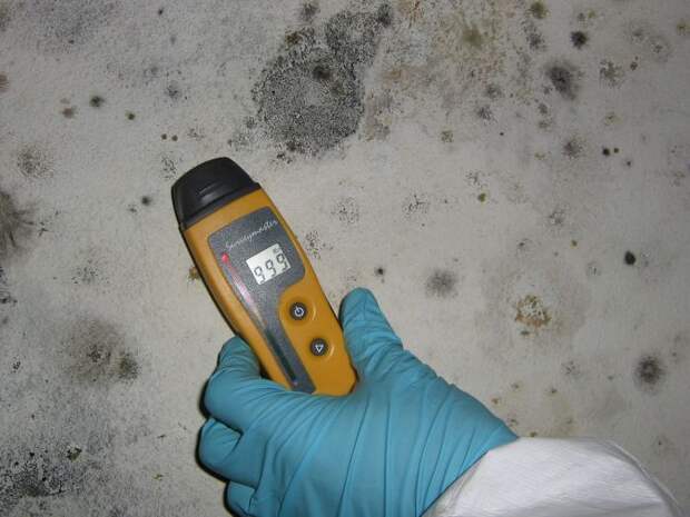 Существуют приборы для измерения сырости стен. /Фото: moldinspectionseguin.com