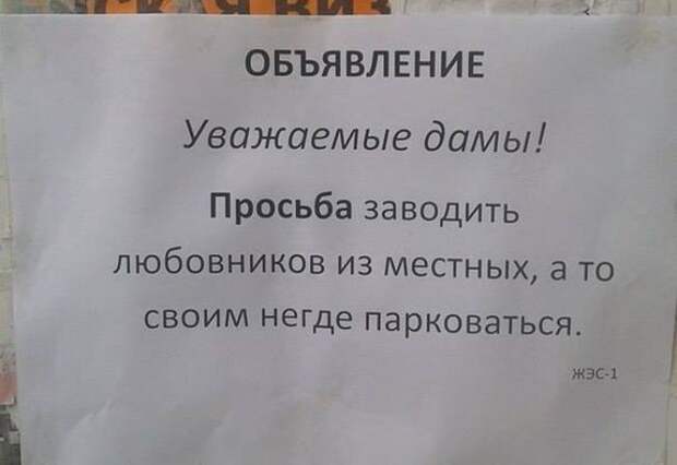 объявления, юмор