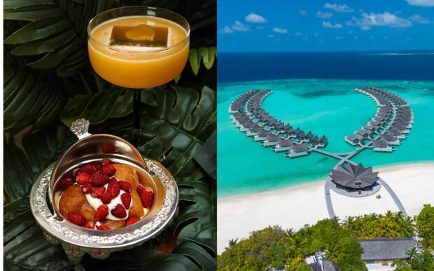 Гастрономическое бистро Rebecca в Москве и отель Kuredhivaru Resort & Spa Maldives запустили совместную акцию