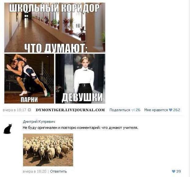 Смешные комментарии из социальных сетей