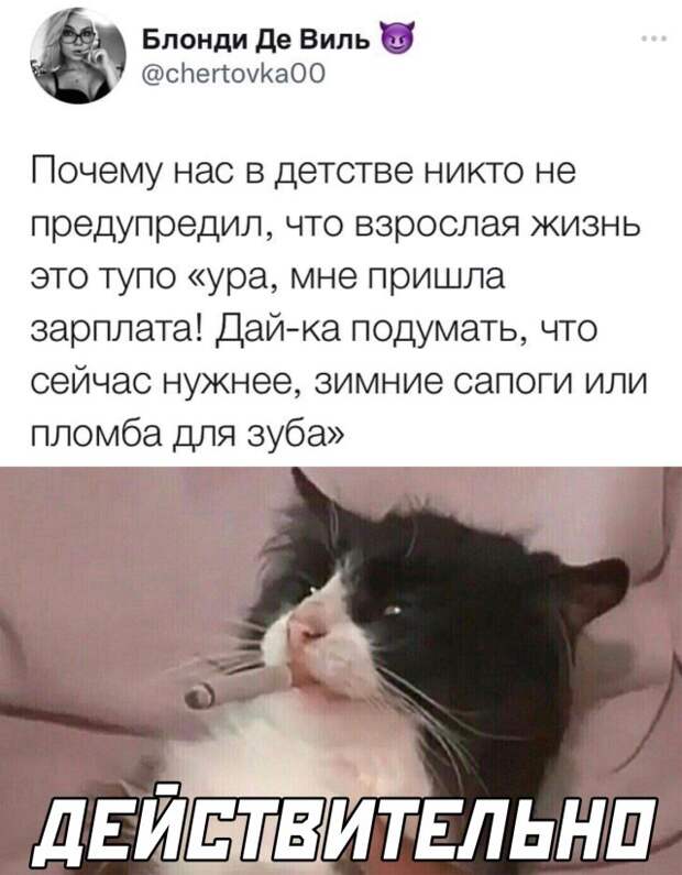 Смешные картинки 9 сентября 2021 года