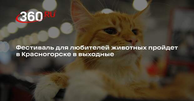 Фестиваль для любителей животных пройдет в Красногорске в выходные