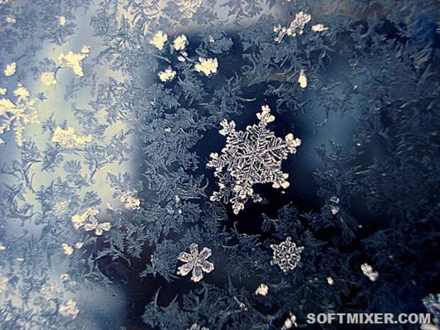 13_snowflakes