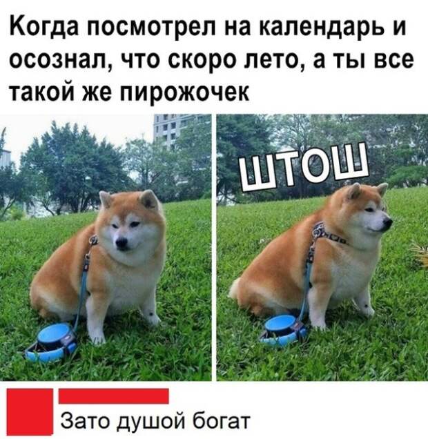 Подборка прикольных картинок