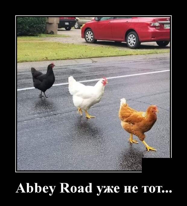 Демотиваторы смешные