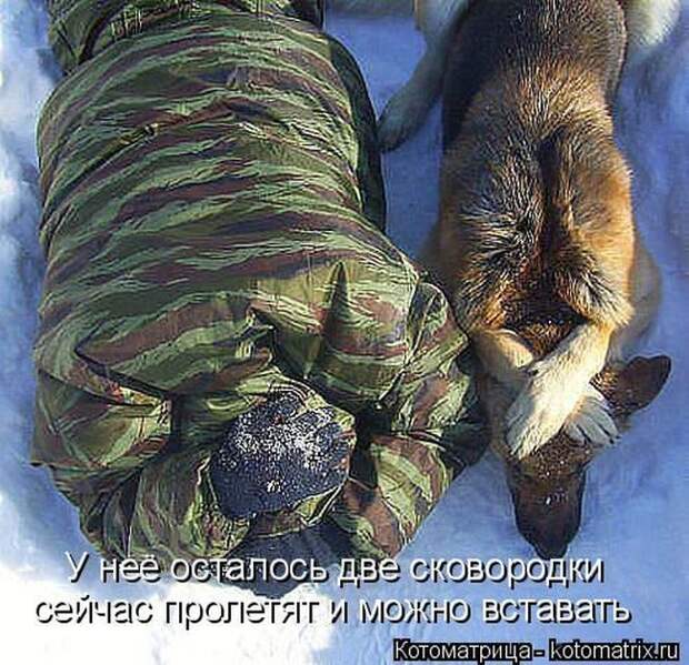 Лучшие котоматрицы недели