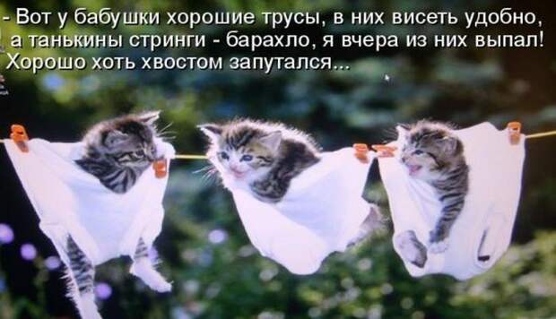 Мысли вслух :)