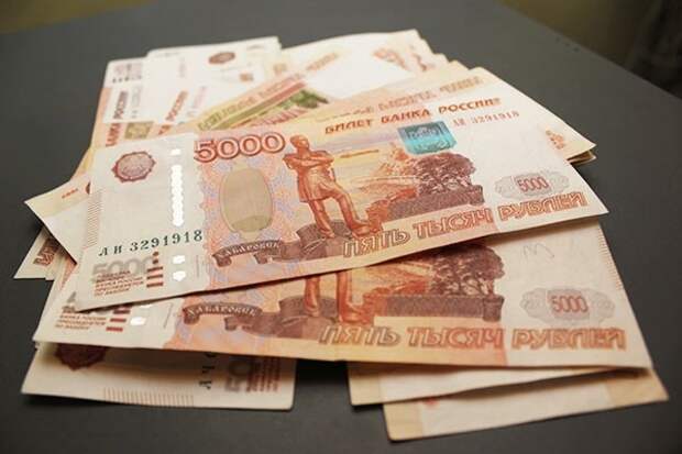 Мать из Новомосковска незаконно заработала 80 тысяч рублей на детских пособиях