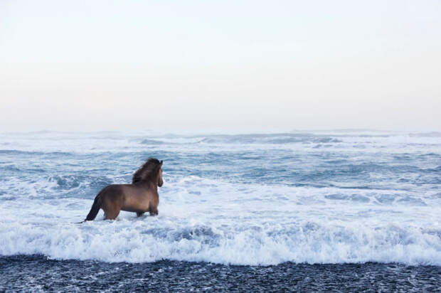 Зимняя Исландия привлекла фотографа Дрю Доггета своими сюрреалистическими и захватывающими пейзажами.