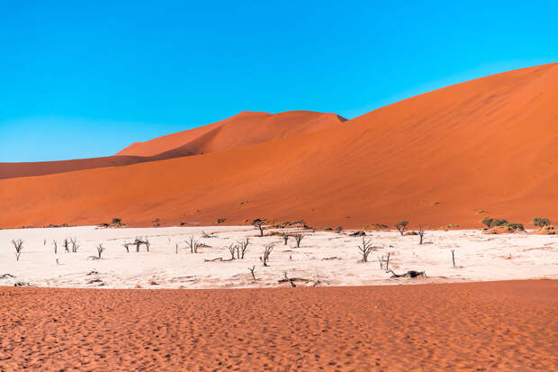 Древнейшая пустыня мира